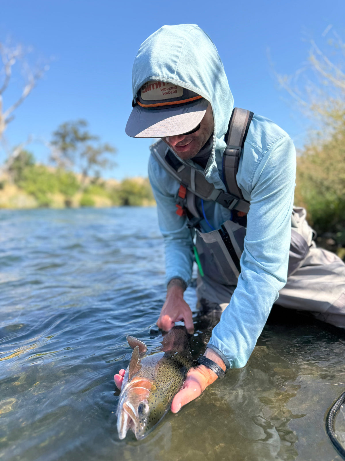 Putah Creek Fly Fishing Report