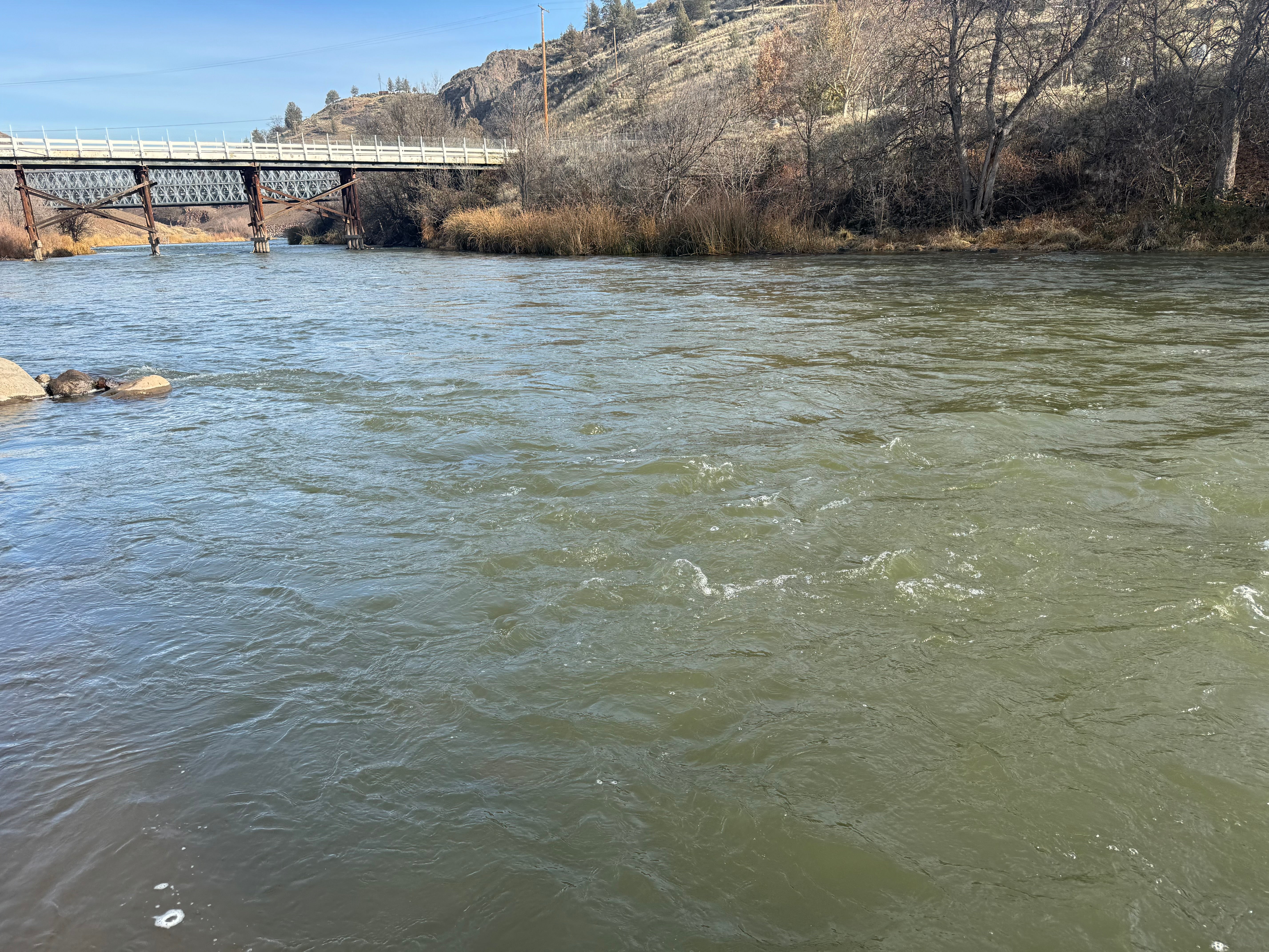 Winter Steelhead & Klamath Update