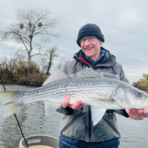 California Delta Fly Fishing Report