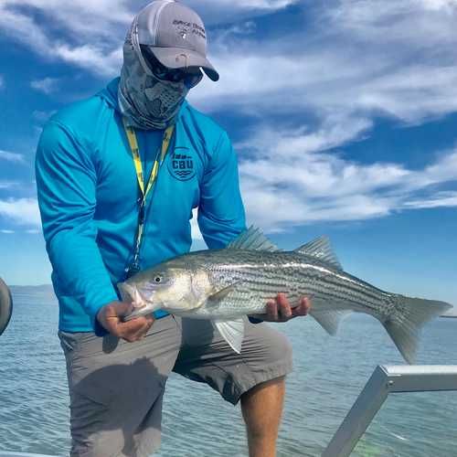 Delta Fly Fishing Report