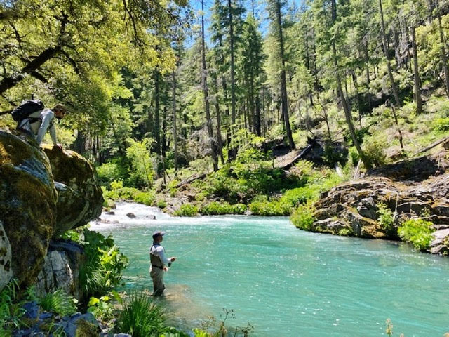 Northern California Fly Fishing Report