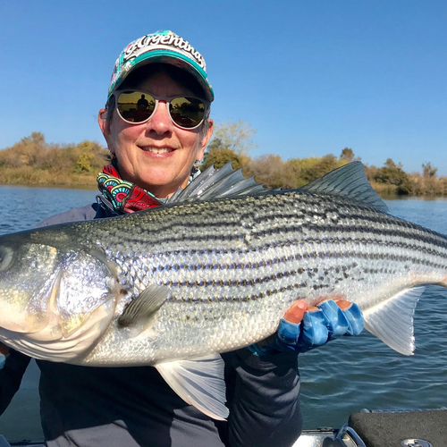 Delta Fly Fishing Report