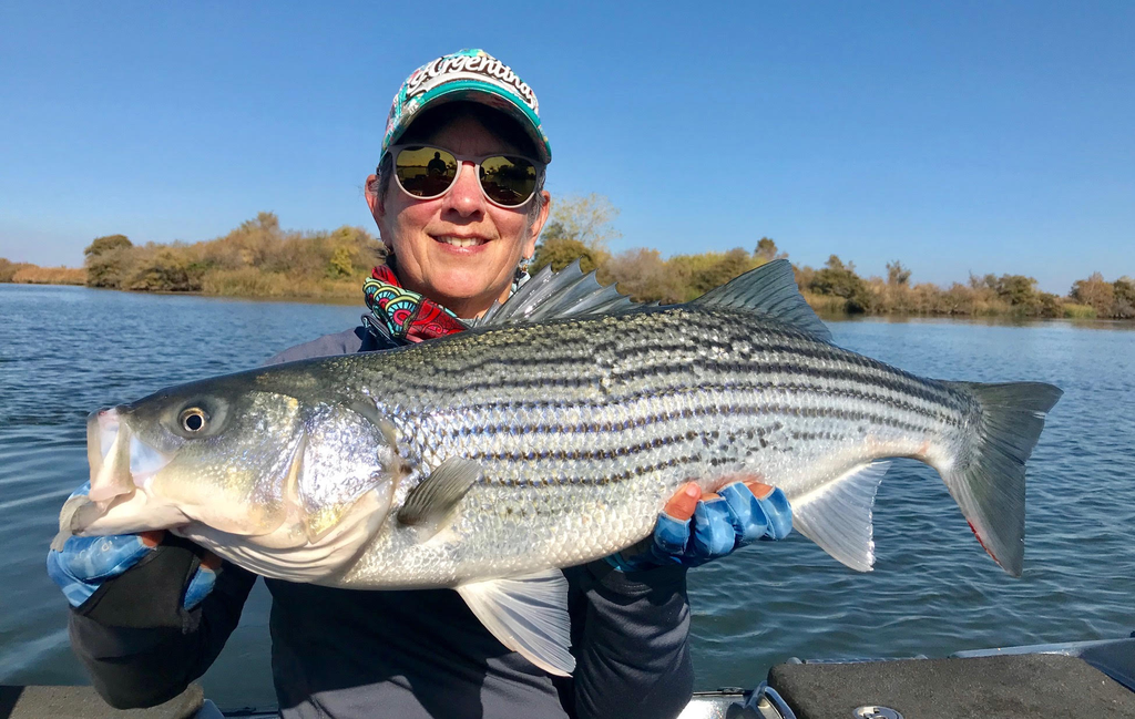 Delta Fly Fishing Report