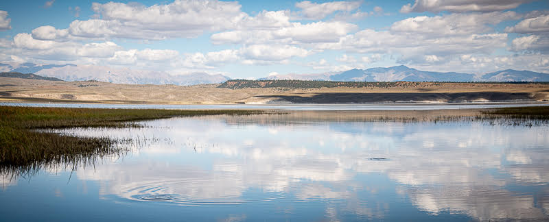 Eastern Sierra Fly Fishing Report