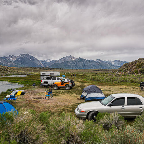 Eastern Sierra Fly Fishing Report
