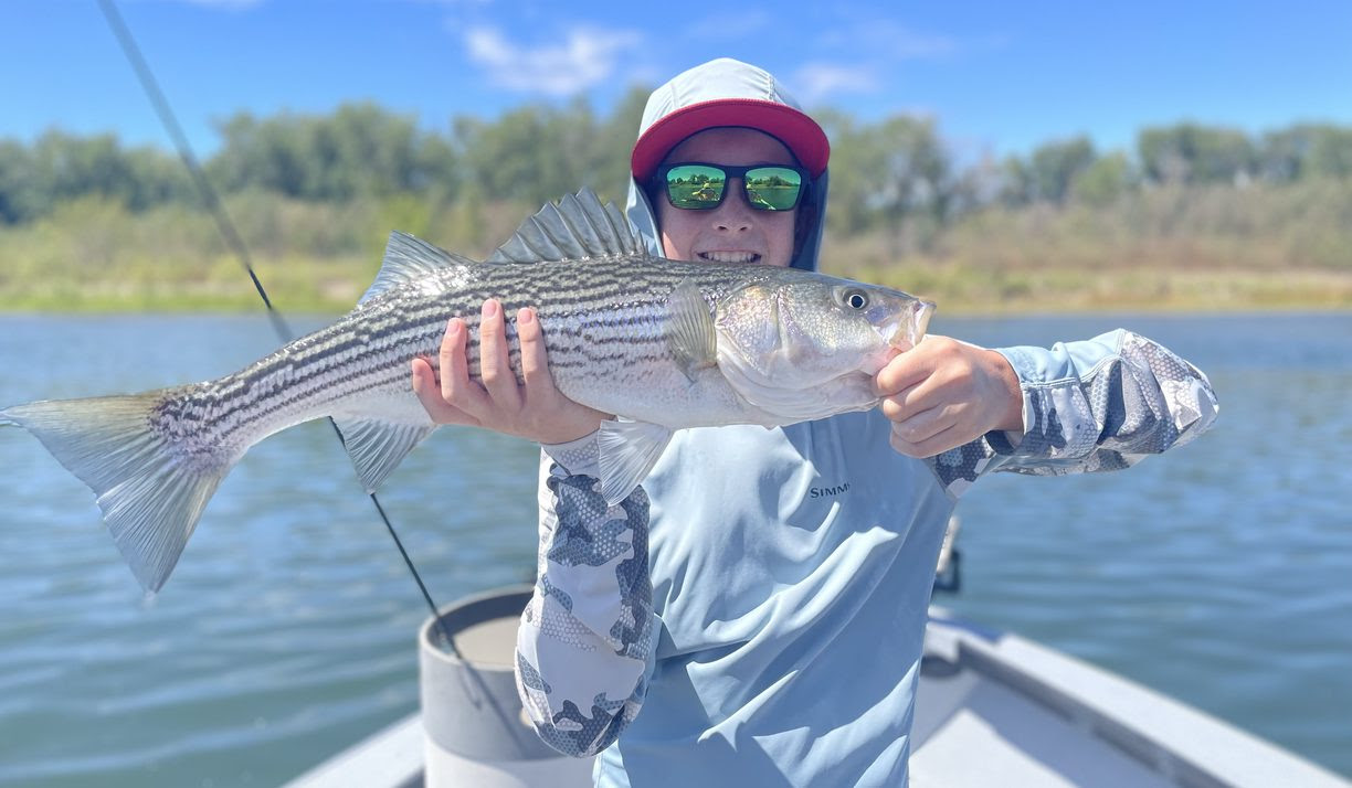 530 Outfitters Trout/Striper Summer Special