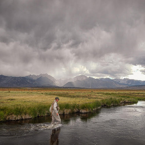 Eastern Sierra Fly Fishing Report