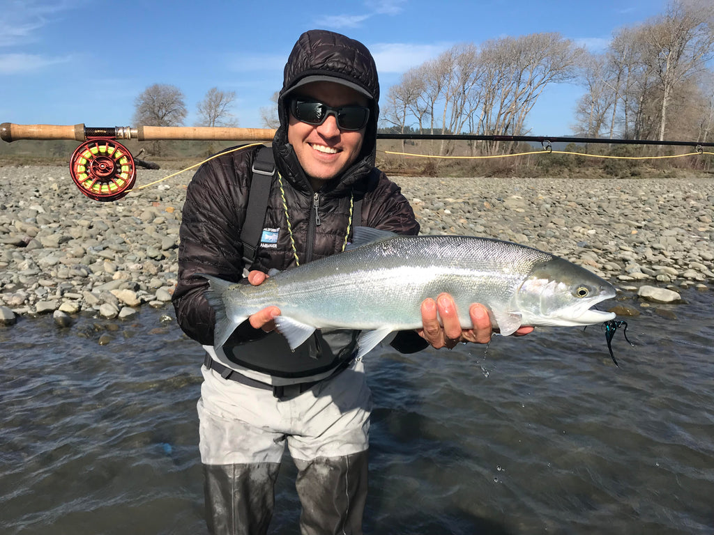 California Steelhead Report