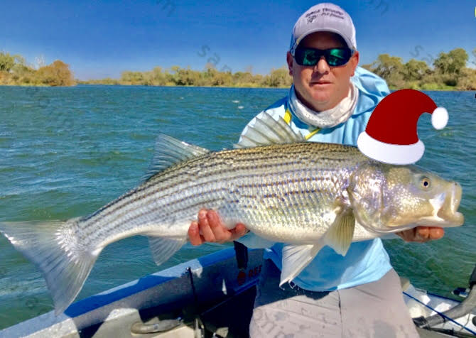 California Delta Fly Fishing Report