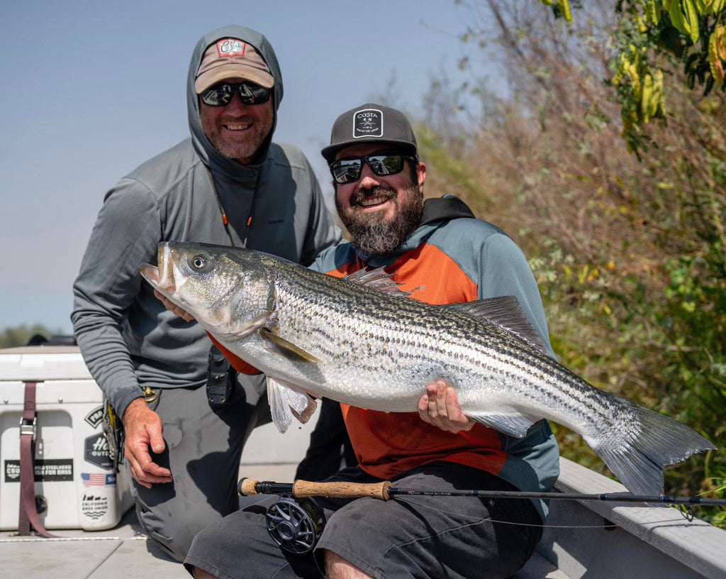 Central Valley Striped Bass Fly Fishing Report