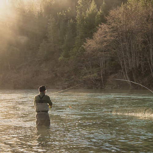 Eastern Sierra Fly Fishing Report