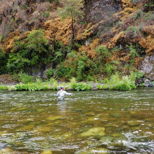 Upper Sac, McCloud River and McCloud Reservoir Fly Fishing Report