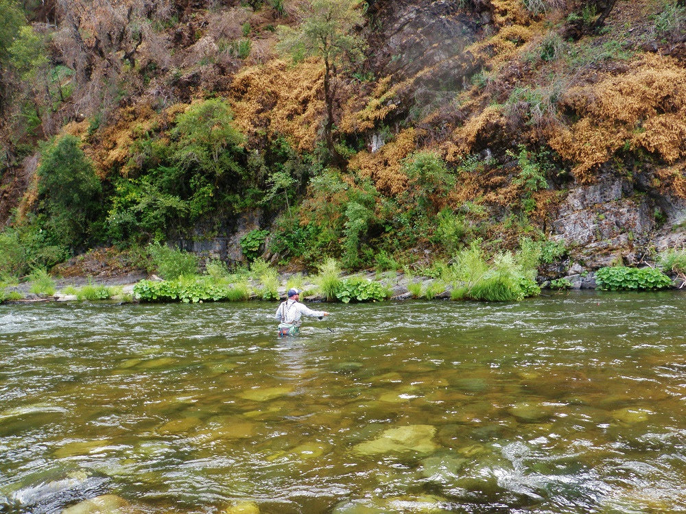 Upper Sac, McCloud River and McCloud Reservoir Fly Fishing Report