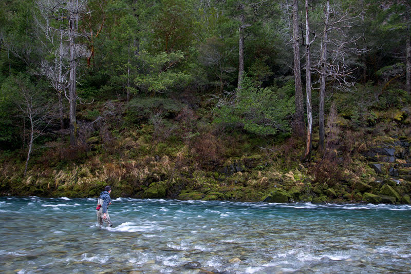 Eastern Sierra Fly Fishing Report