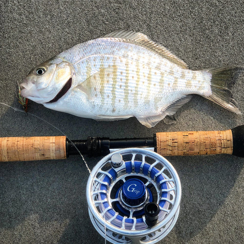 Monterey and Bay Area Surf Fly Fishing Report