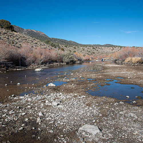Eastern Sierra Fly Fishing Report