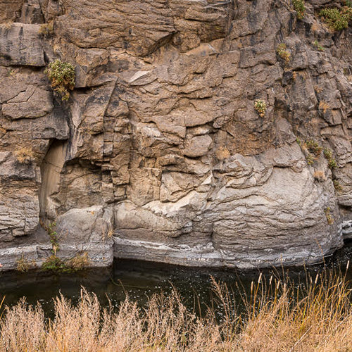 Eastern Sierra Fly Fishing Report