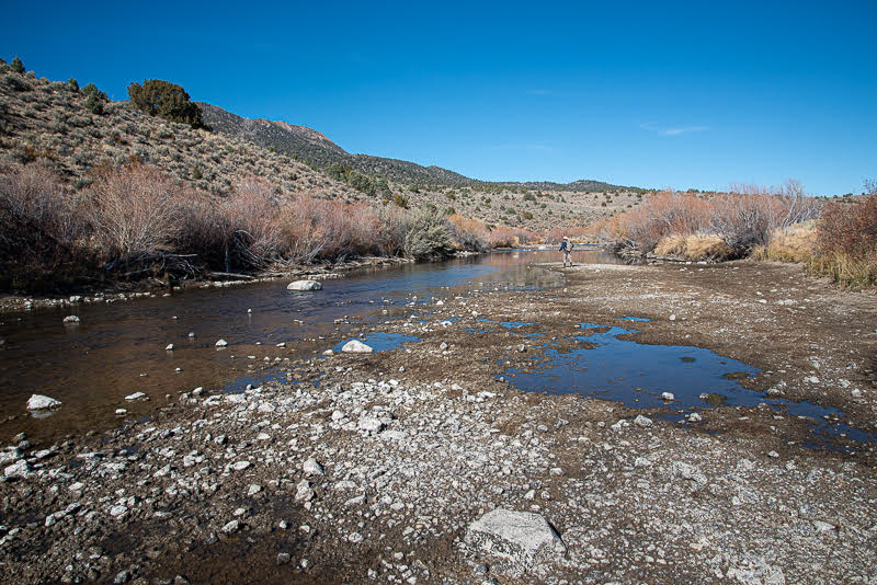 Eastern Sierra Fly Fishing Report