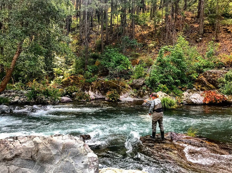 Northern California Fly Fishing Report
