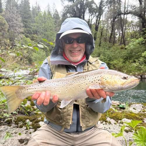 McCloud River & Upper Sac Fly Fishing Report