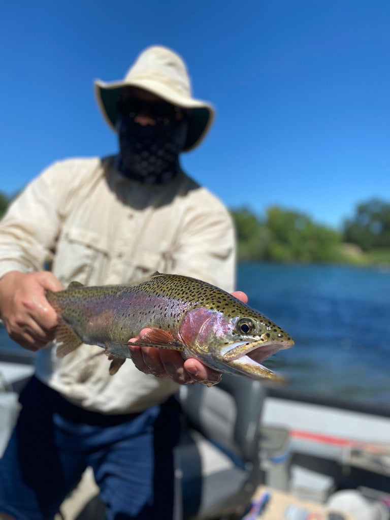 Northern California Fly Fishing Report