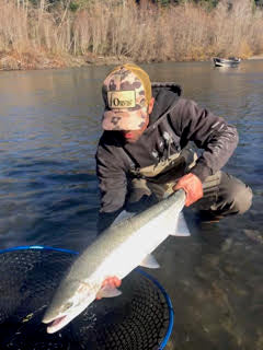 Coastal Steelhead Report