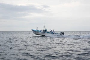 Baja Fly Fishing Flies | Roosterfish, Dorado & Inshore Saltwater Patterns