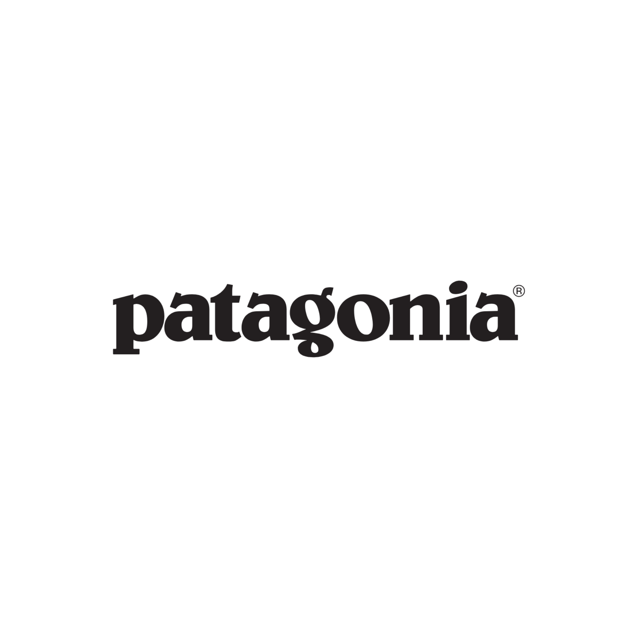 Patagonia Luggage