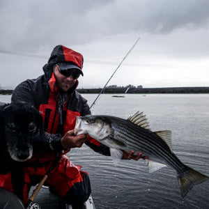 Striper Flies – Lost Coast Outfitters