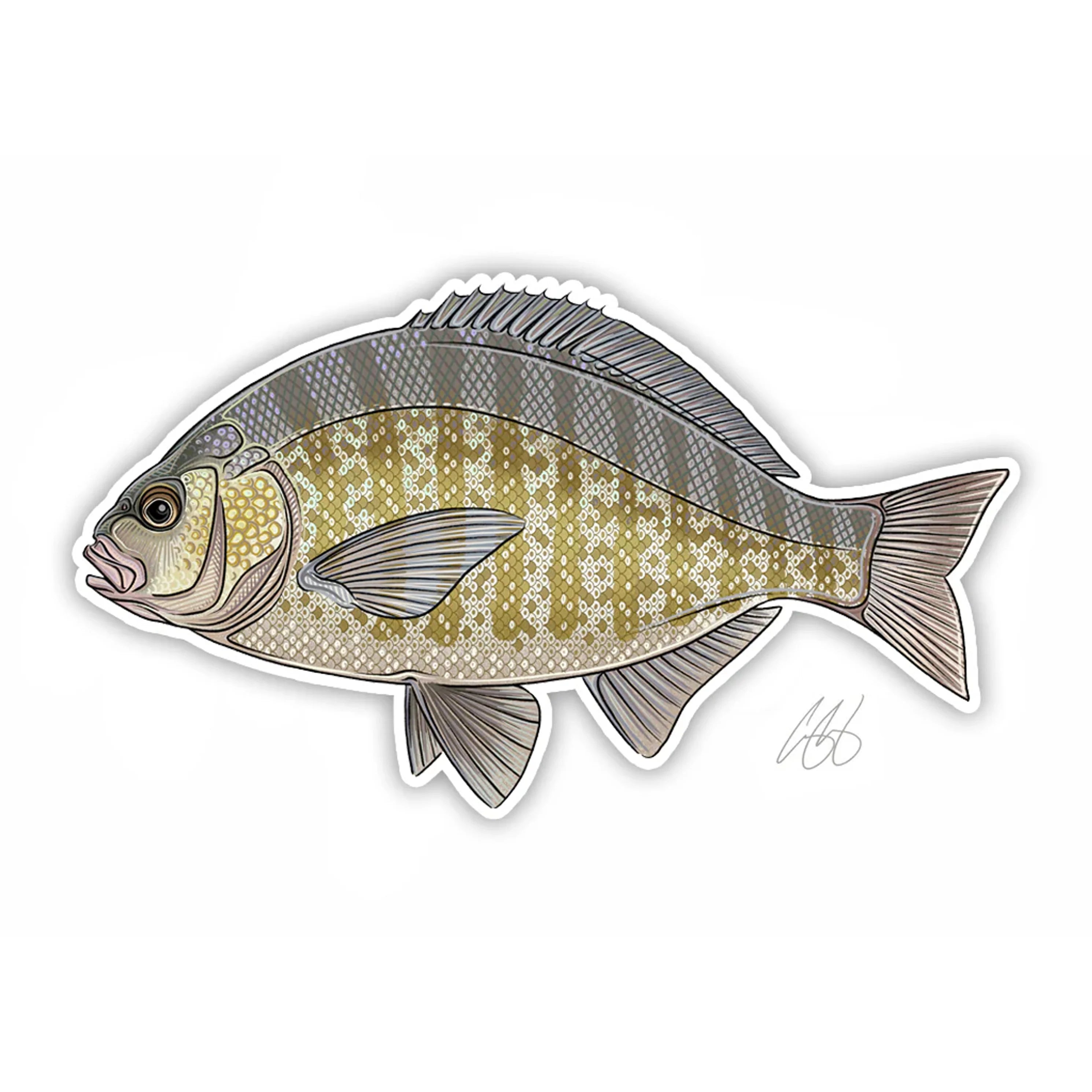 Casey Underwood Fish Decal - Salt Water