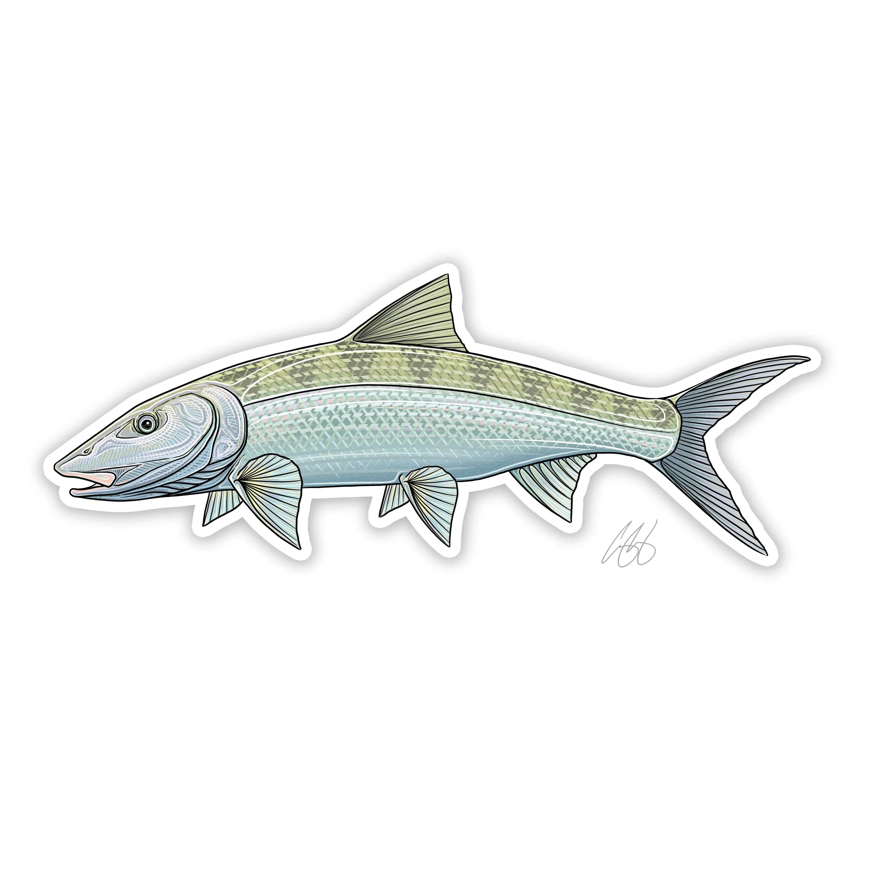Casey Underwood Fish Decal - Salt Water