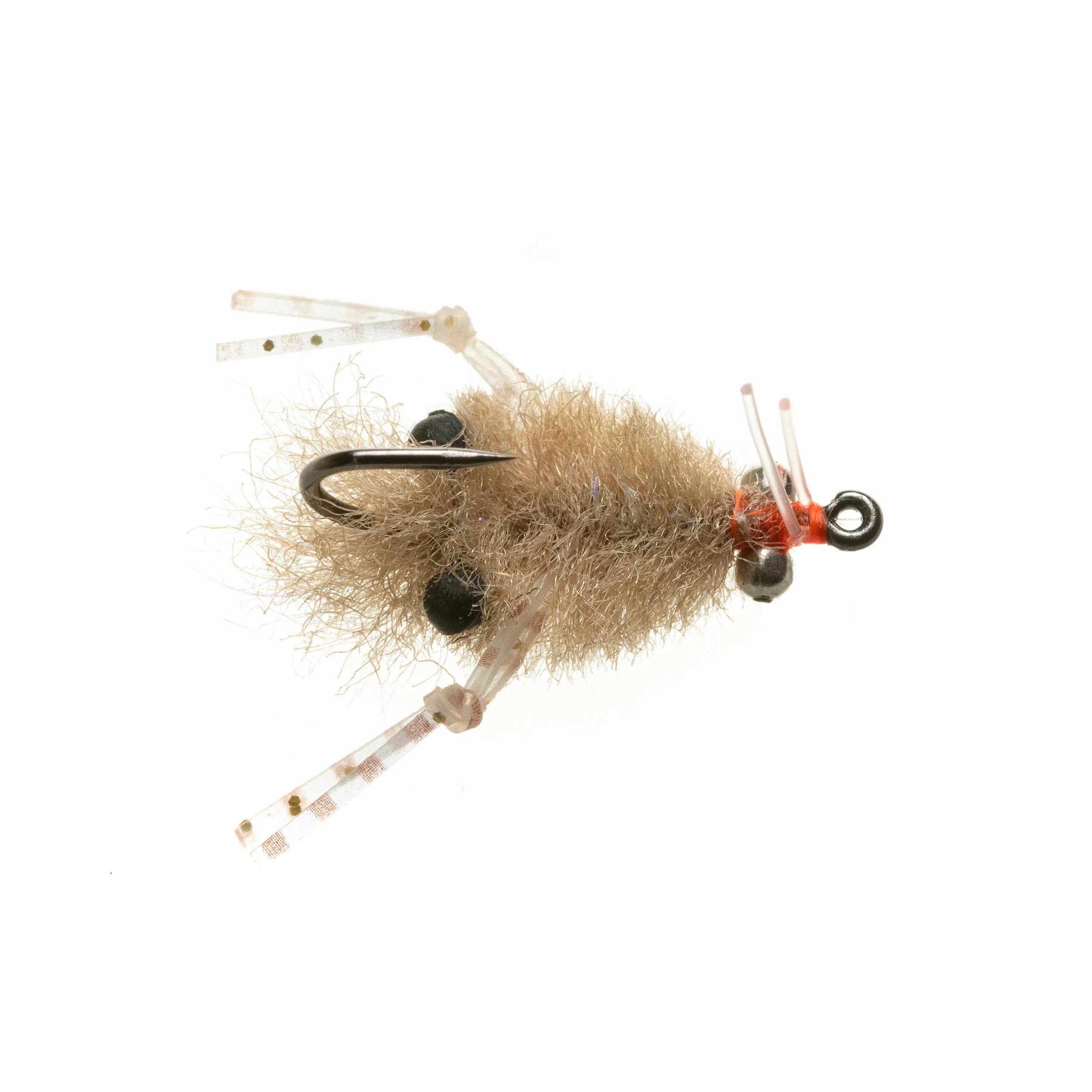 EP Turneffe Micro Crab