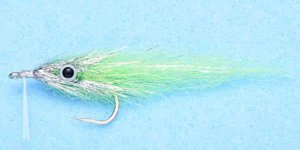 EP Bay Anchovy