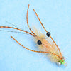 Enrico Puglisi Ascension Bay Mantis Shrimp - Golden Sand