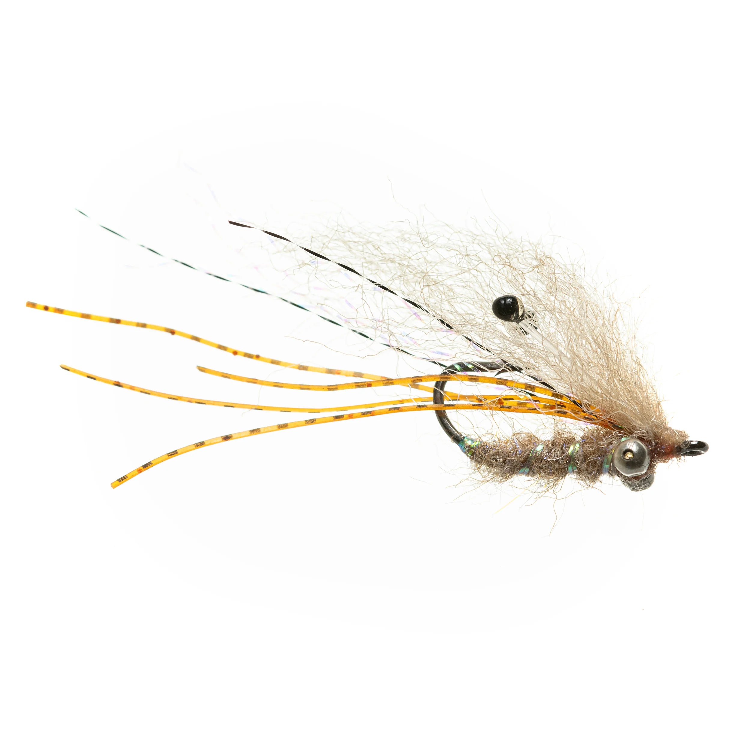 EP Ghost Shrimp - Tan