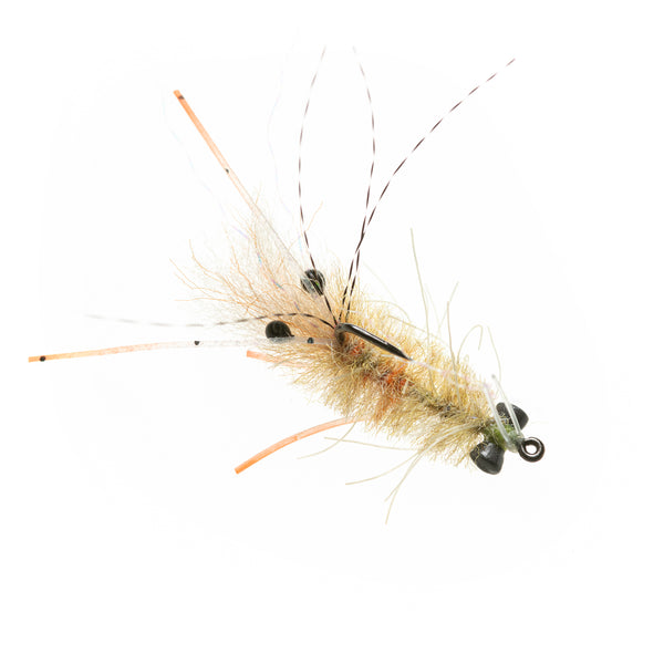 EP Mantis Shrimp - Tan