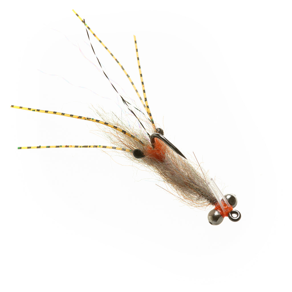 EP Spawning Shrimp - BC Root Beer