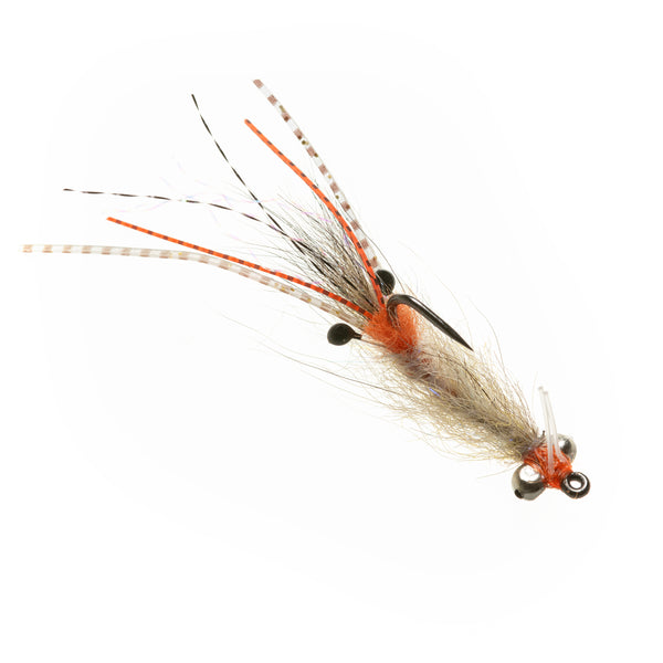 EP Spawning Shrimp - Coyote