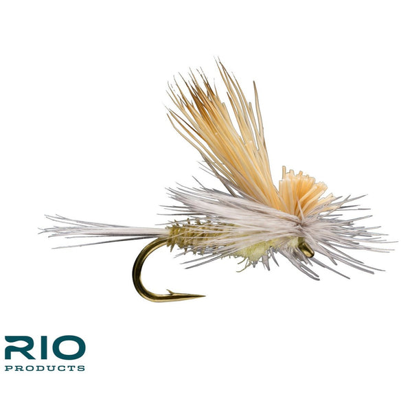 Tilt Wing PMD