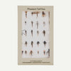 Pheasant Tail Simplicity Fly Box