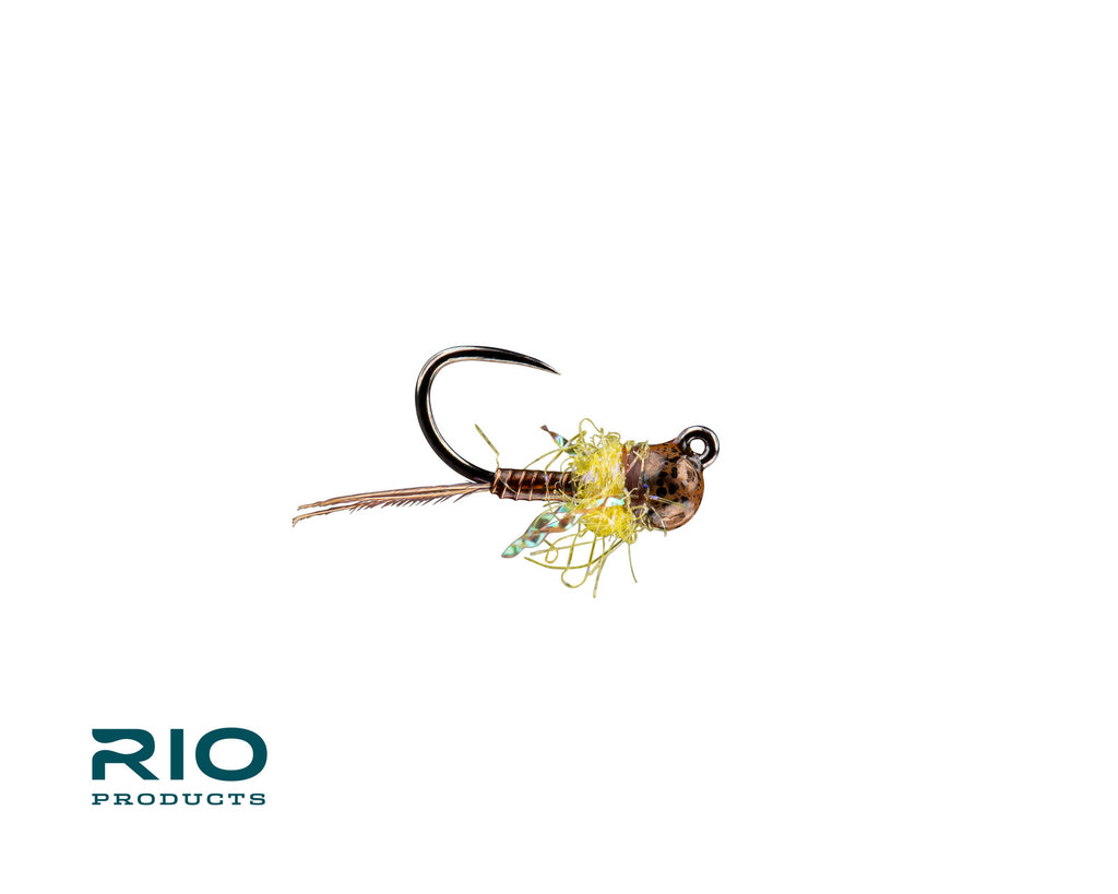 Rio's Tung Tied TB