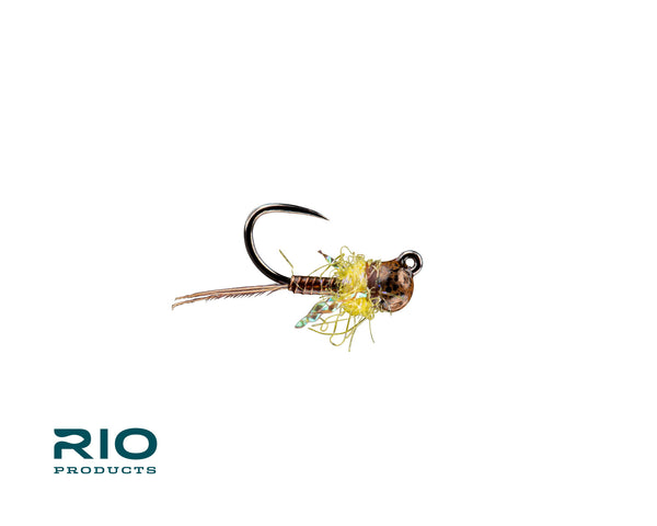 Rio's Tung Tied TB