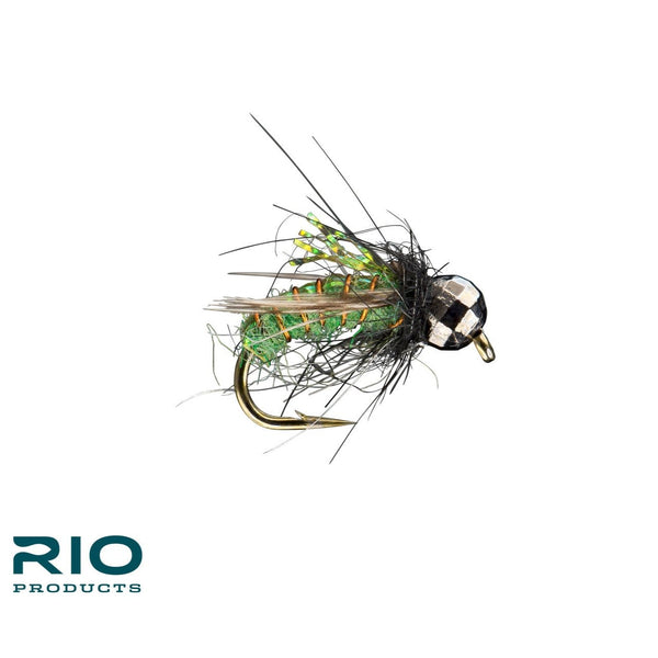 Rio's Super Pupa