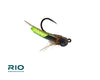Rio's Puparazzi TB