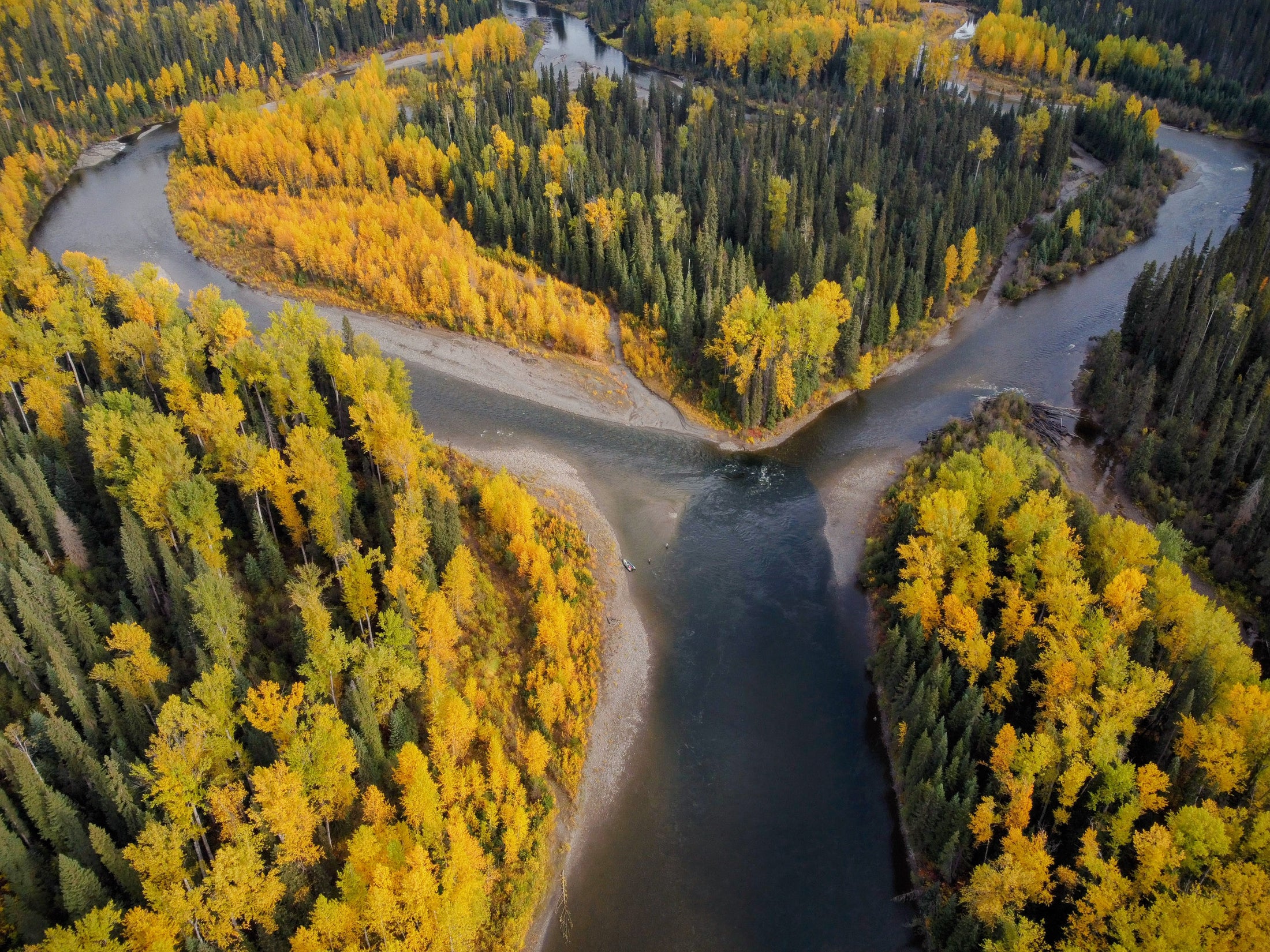 Suskeena Lodge — Wild Steelhead on the Sustut
