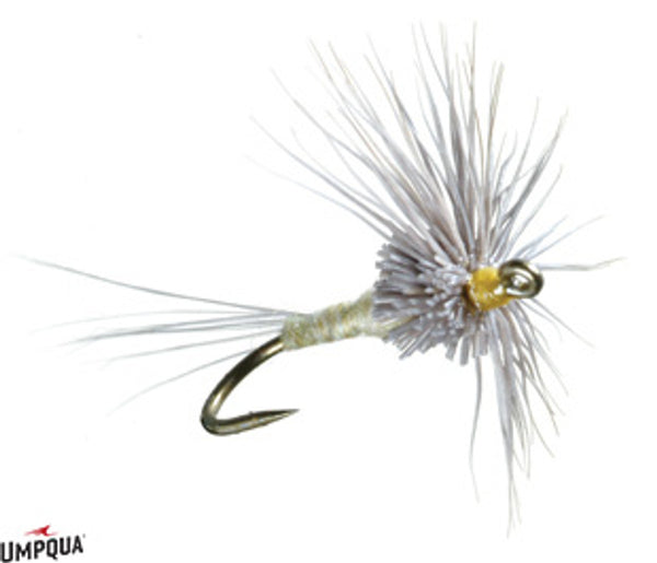 Spundun March Brown