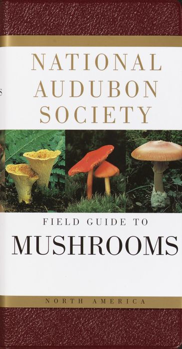 Audubon Pocket Guides: Mushrooms