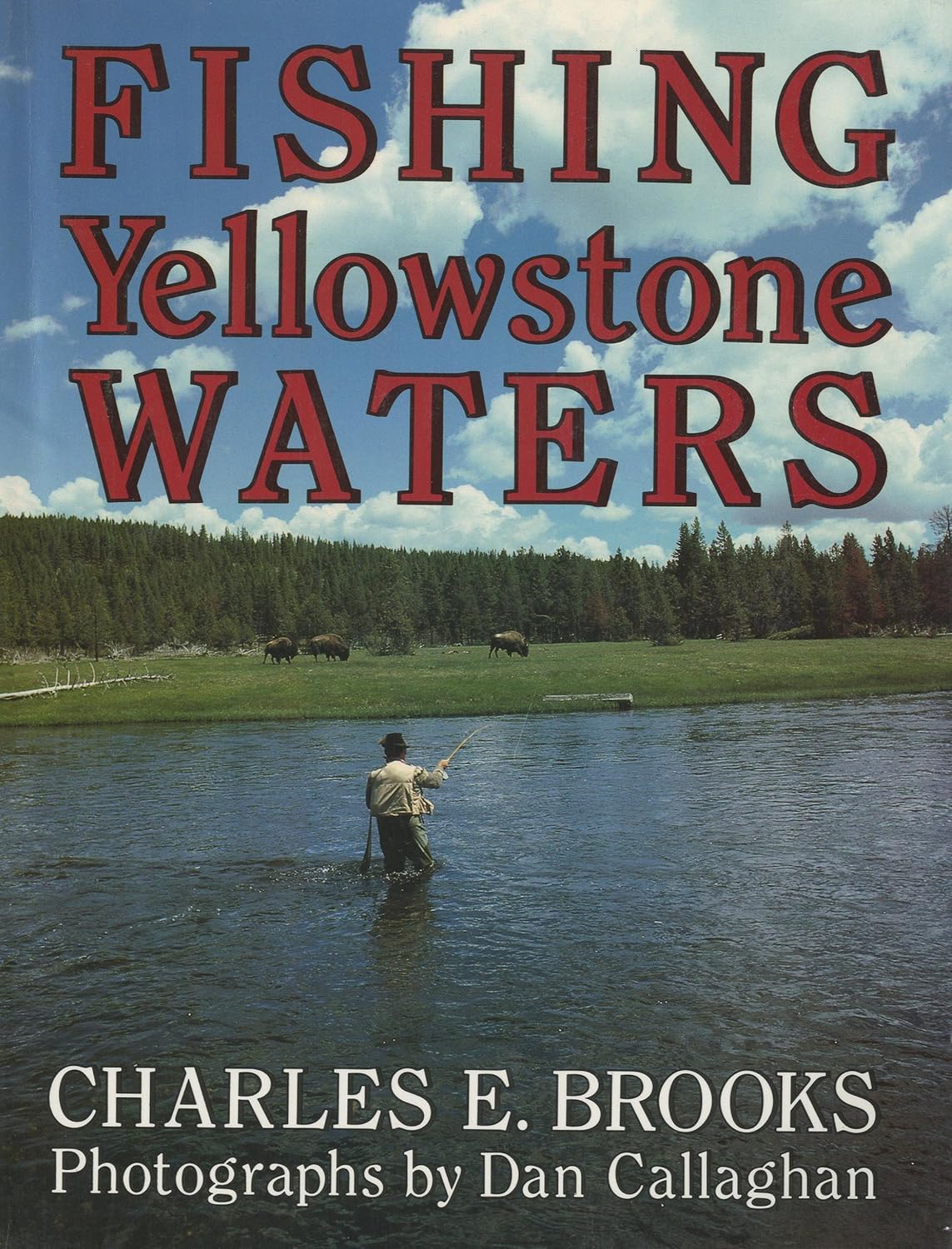 Fishing Yellowstone Waters