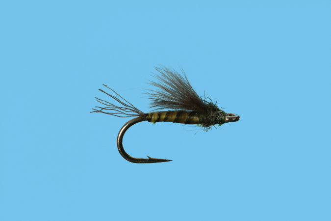 CDC Emerger Baetis