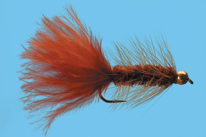 BH Woolly Bugger